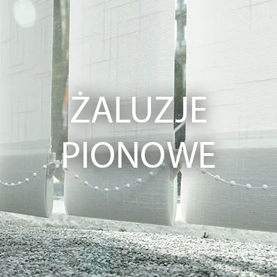 żaluzje pionowe